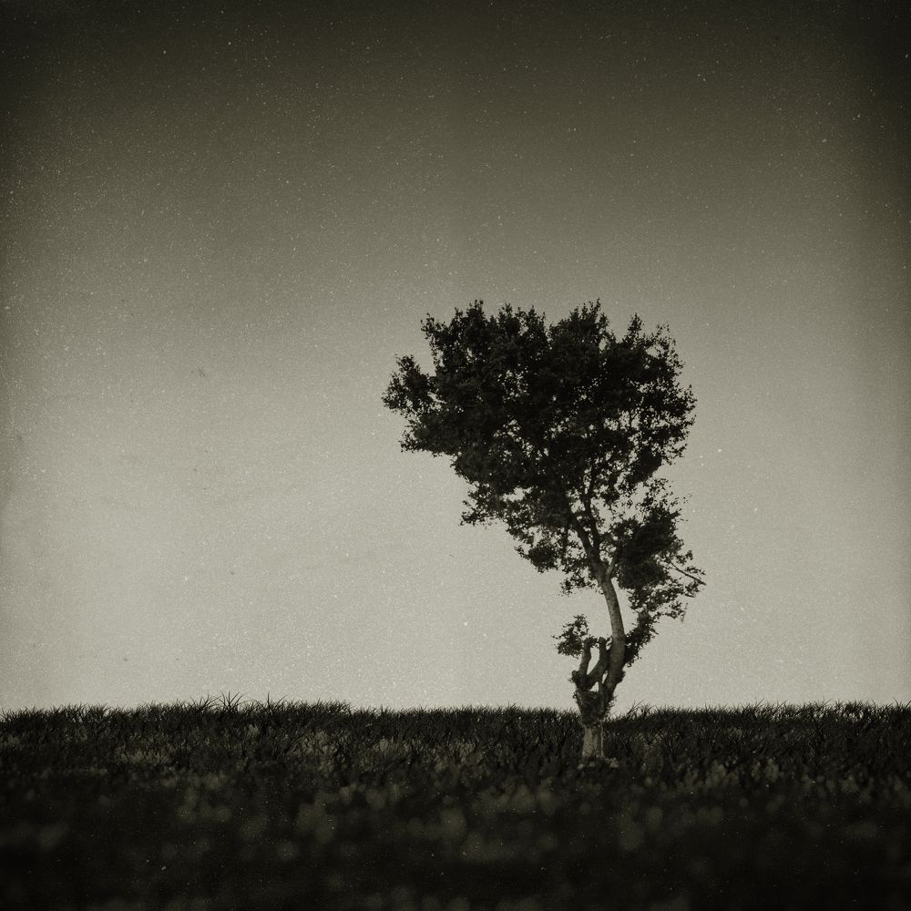 Photograph by mohamed