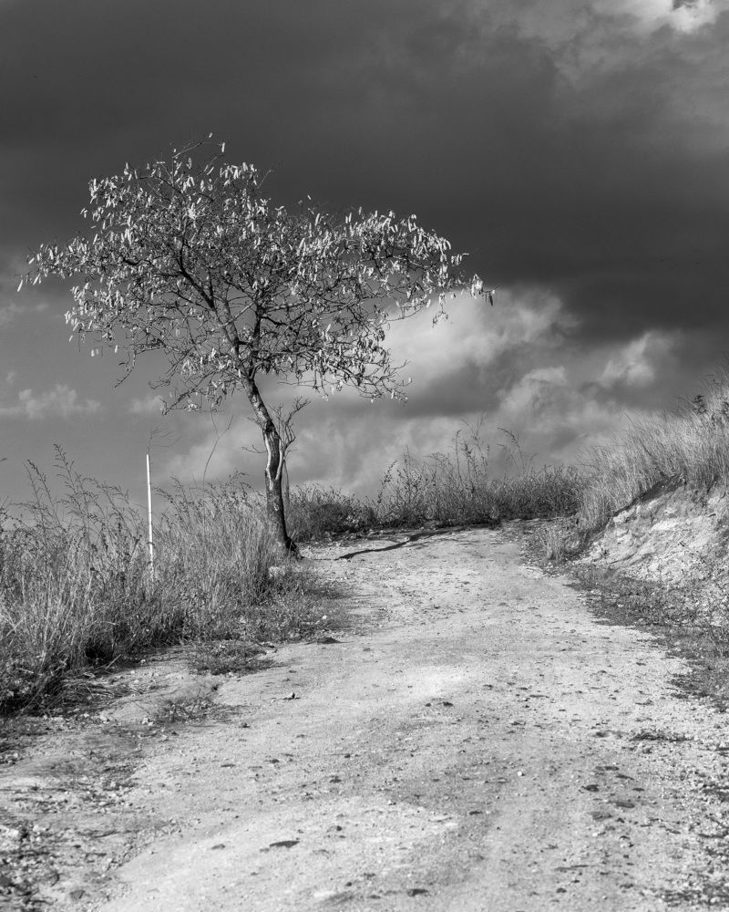 Photograph by CARLOS KIFFER