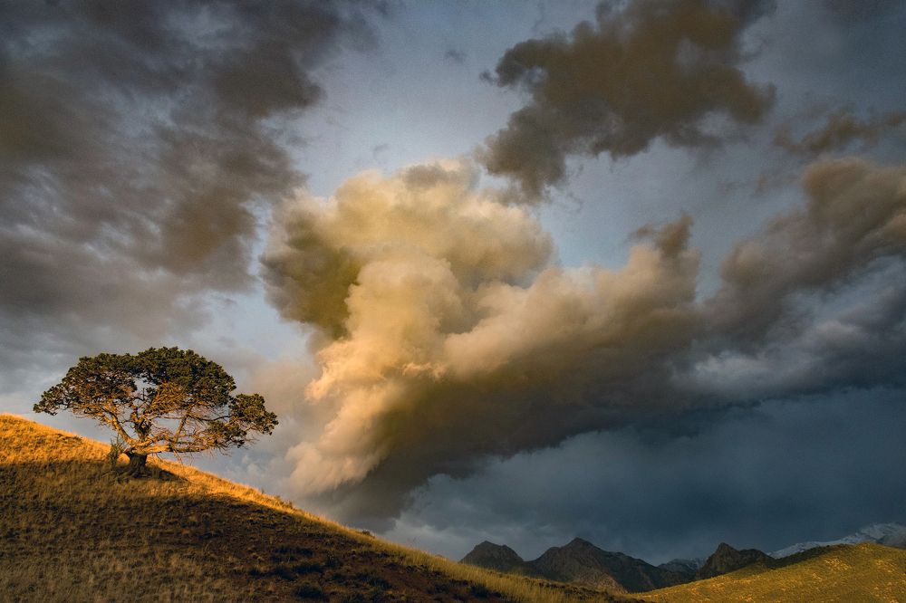 Photograph by Алимжан Жоробаев