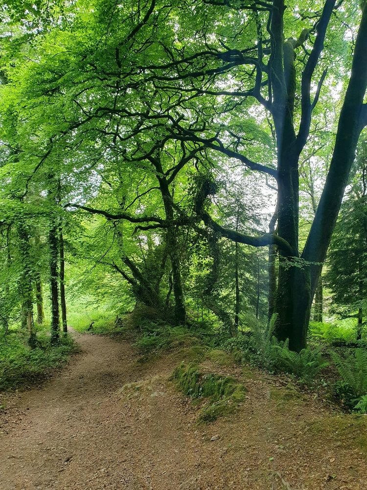 Photograph by Jasmina Zafer