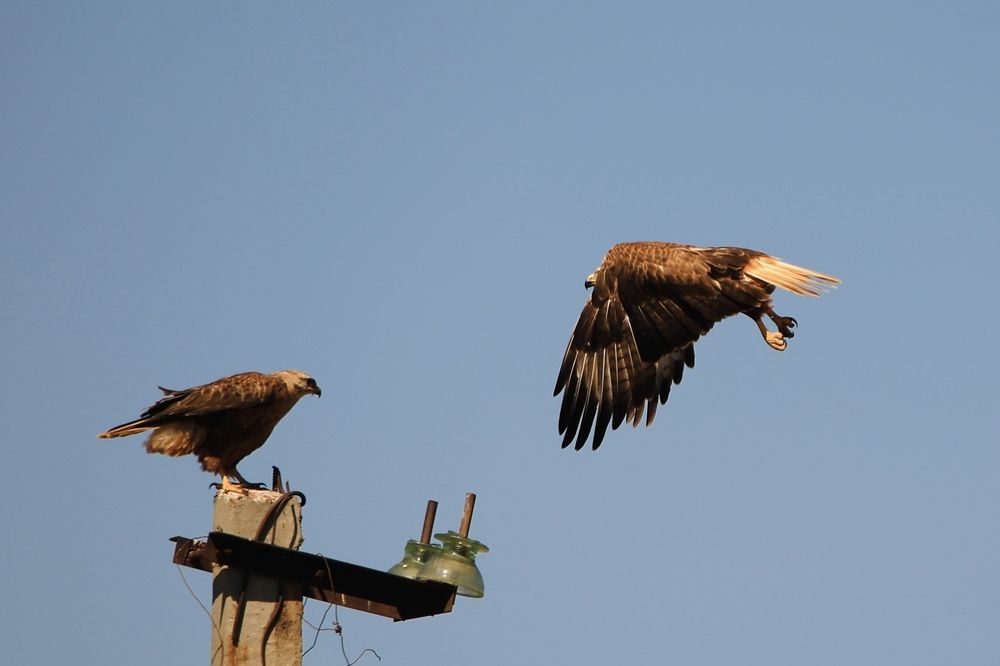Photograph by Виктор Владимиров