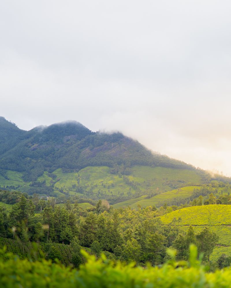 Photograph by Adarsh P