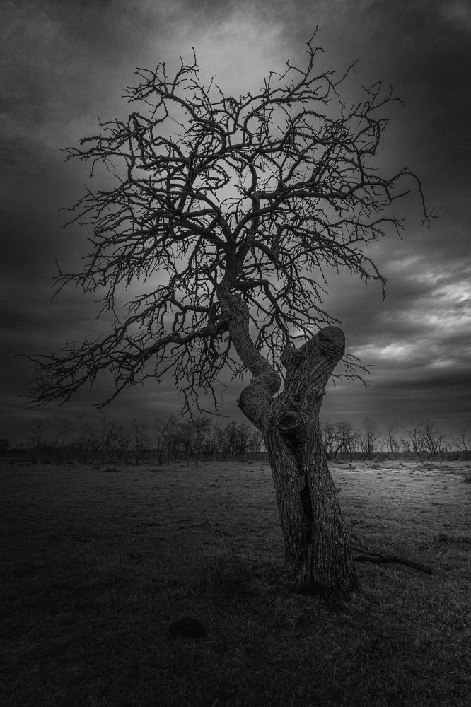 Photograph by MARCELO GIORGI