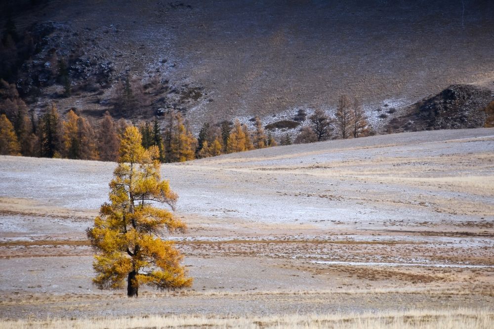 Photograph by Tatiana Meshcheryakova