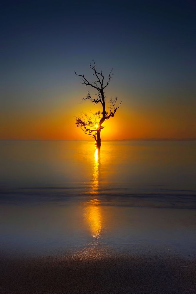 Photograph by Henri Fitriadi