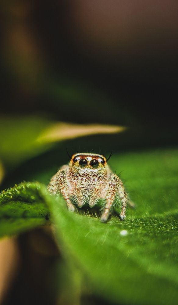 Photograph by Mathavarajah Nithurshan