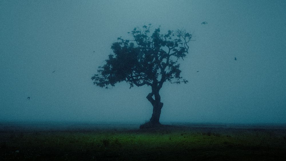 Desolation