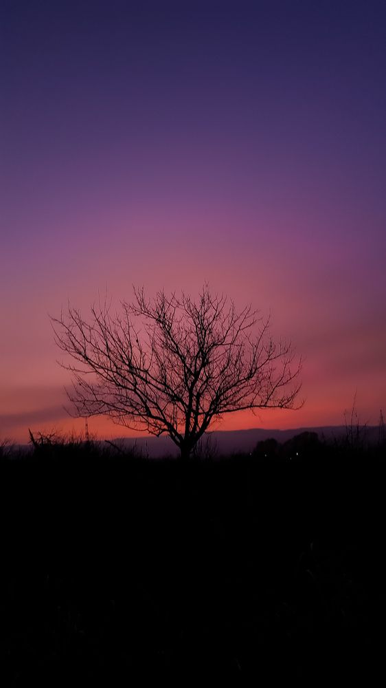 Photograph by Юлия Карпова