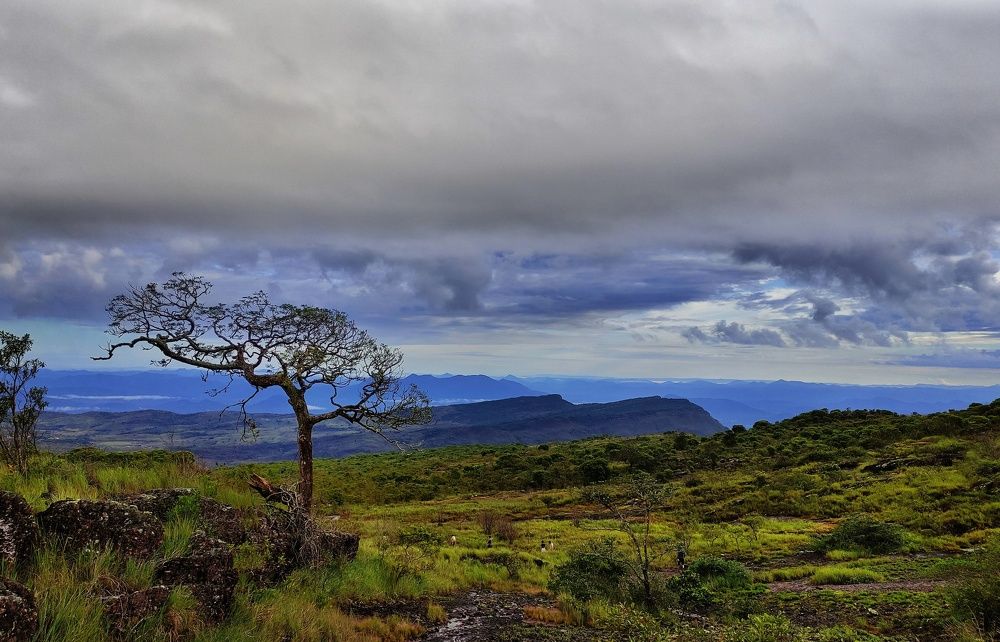 Фотография автора Diogo Thompson Ribeiro