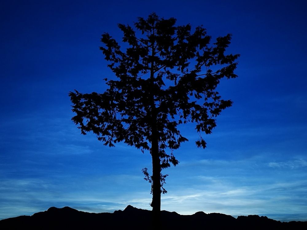 Photograph by Ryan Oliver Co