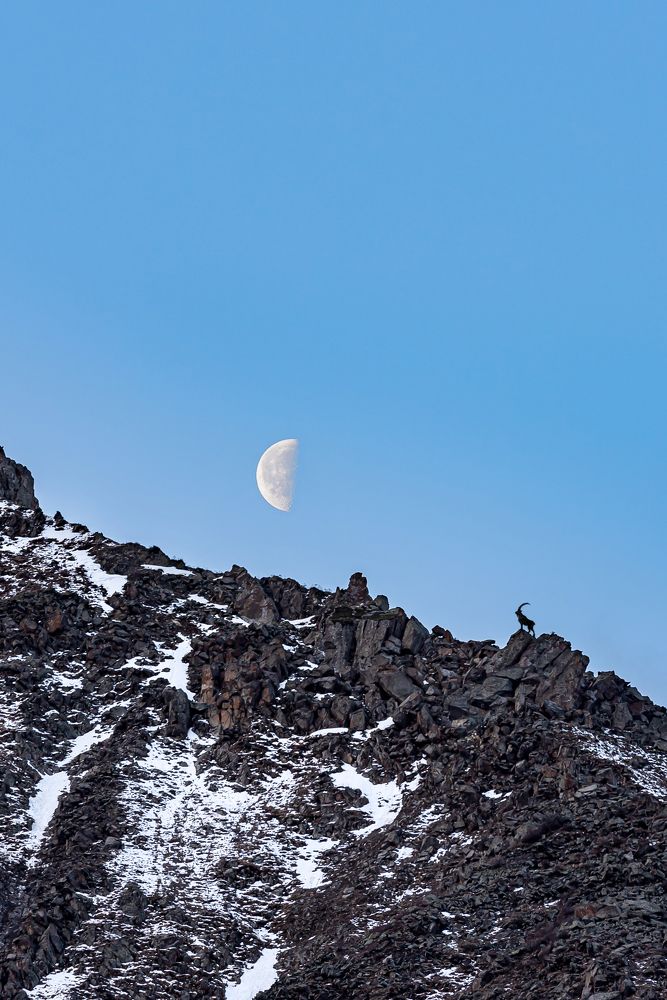 Photograph by Алексей Торлопов