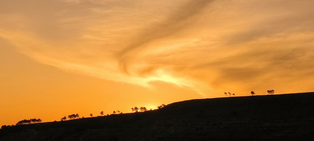 Photograph by Абхиджит Маханта