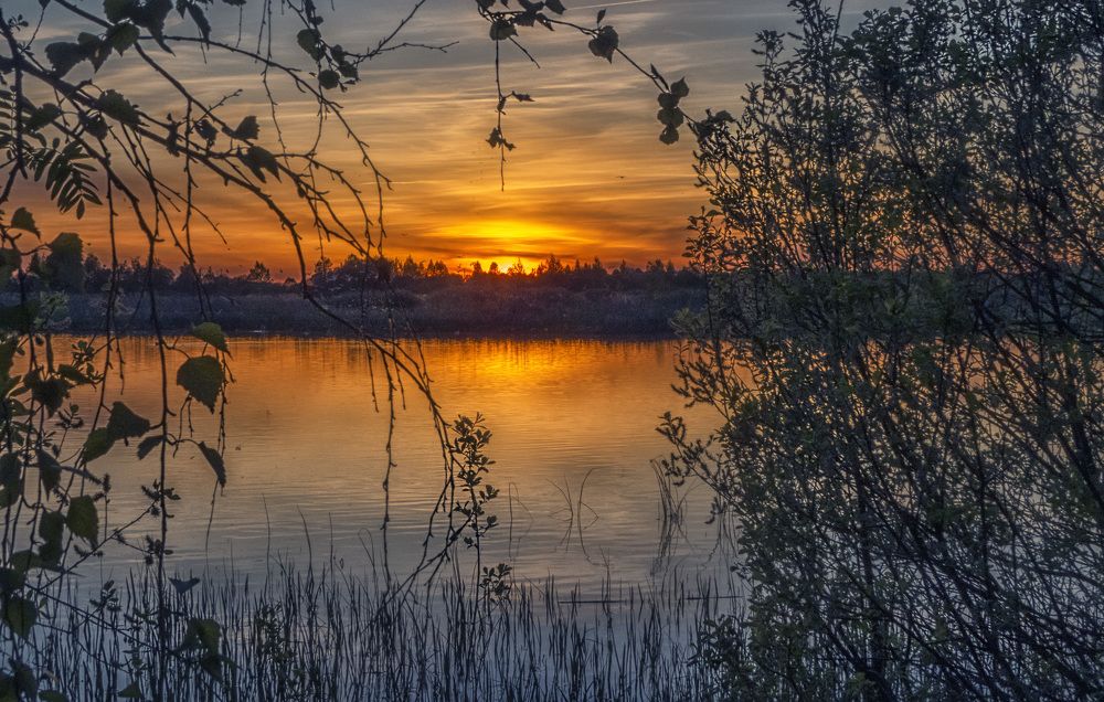 Photograph by Цветков Сергей