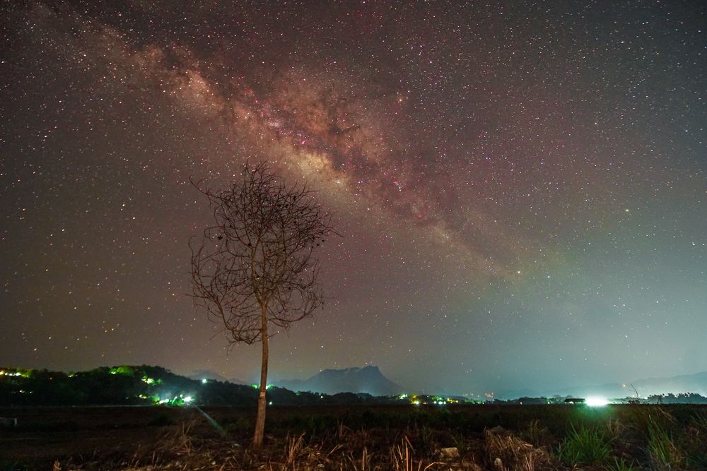 Photograph by Thai Siung Wong