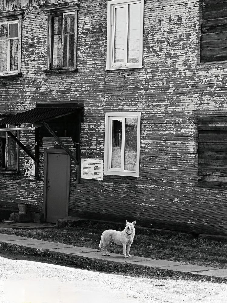 Старый дом...