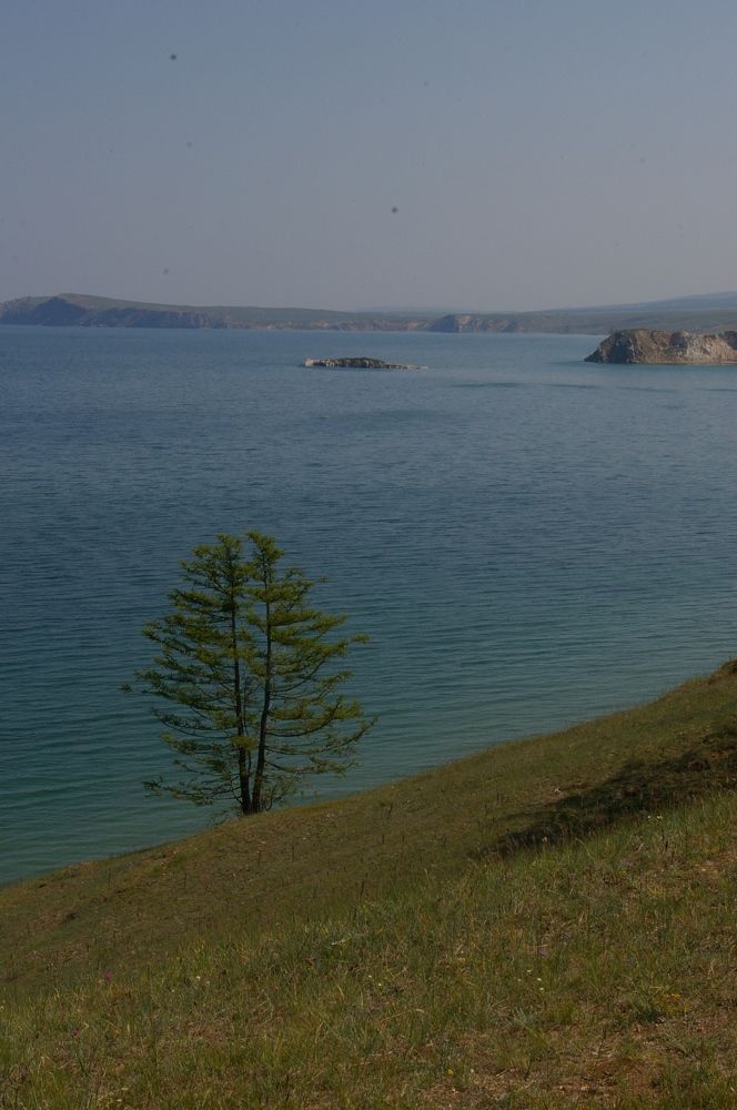 Photograph by Елена Алешкевич