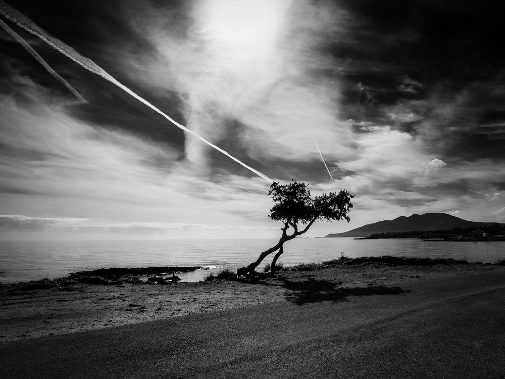 Photograph by Antonis Giakoumakis