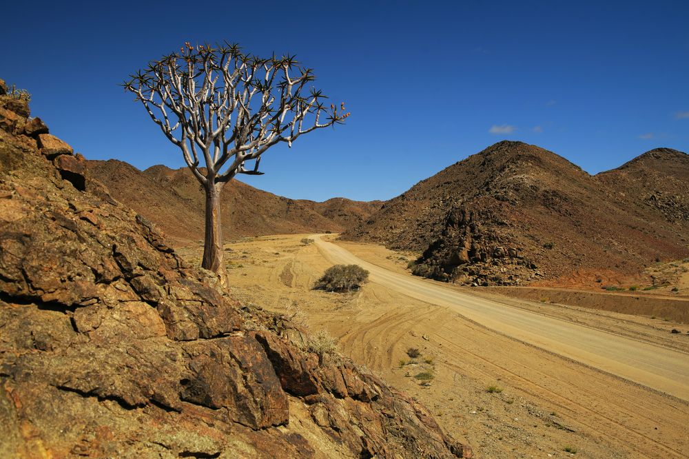 Photograph by Игорь Чупин