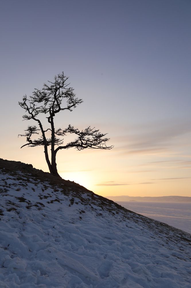 Photograph by Наталья Туева