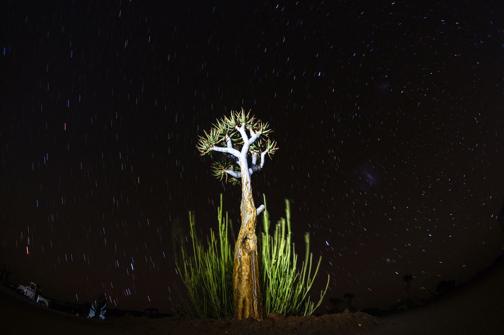 На фоне звёзд