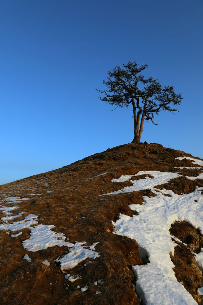 Photograph by Наталья Туева