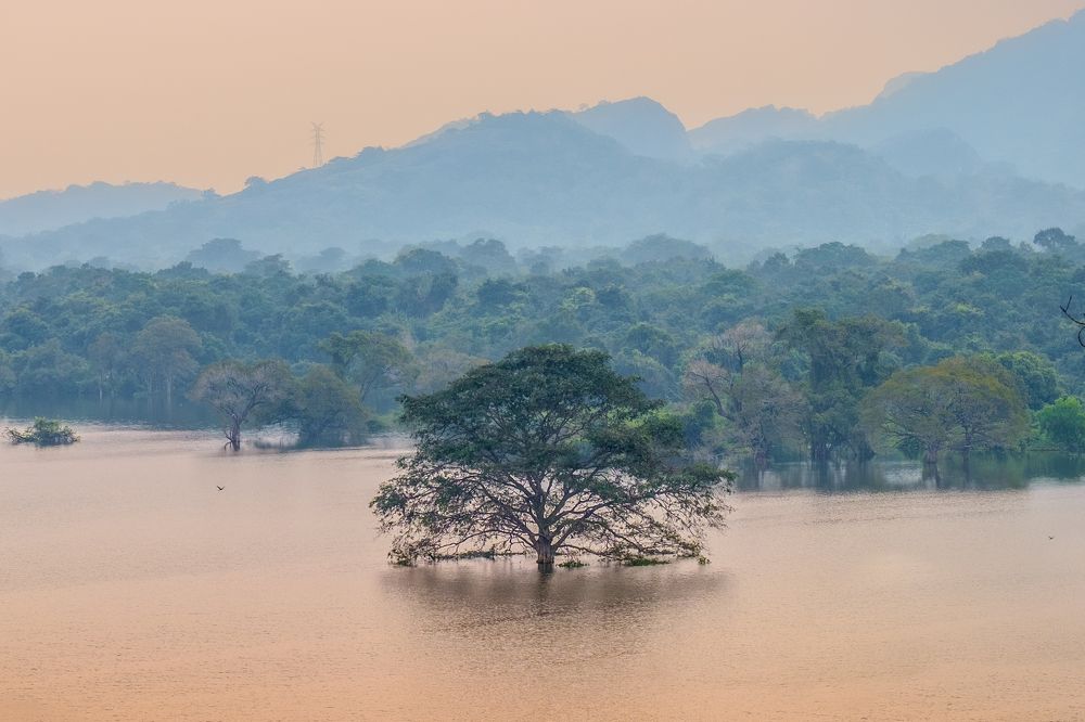 Photograph by Анатолий Асеев