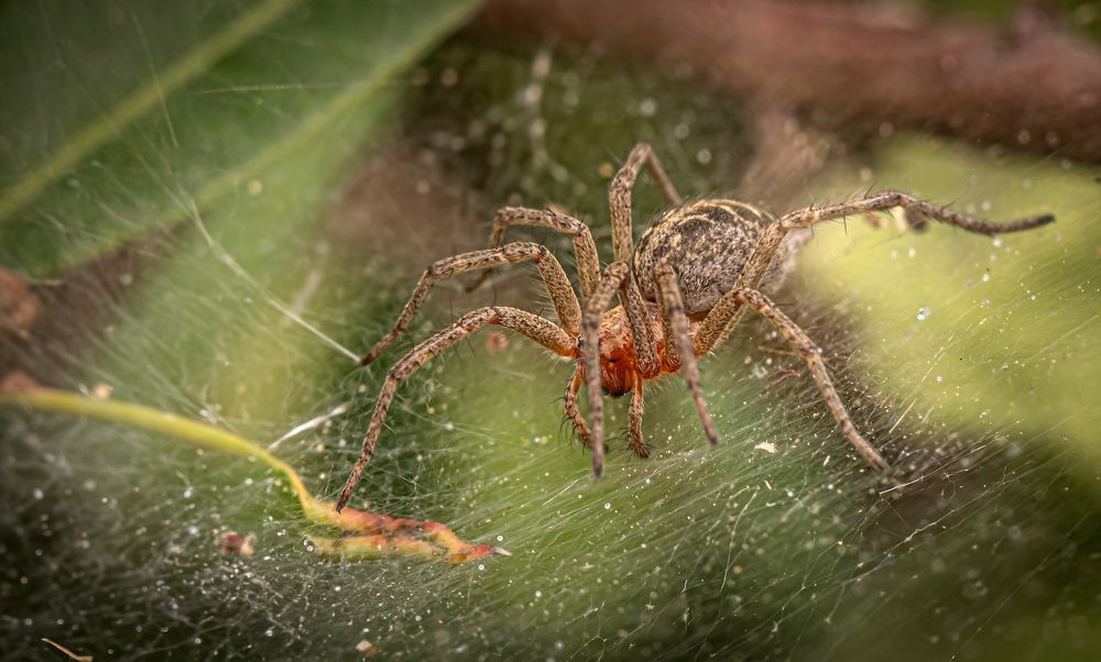Photograph by Sıtkı Aksoy