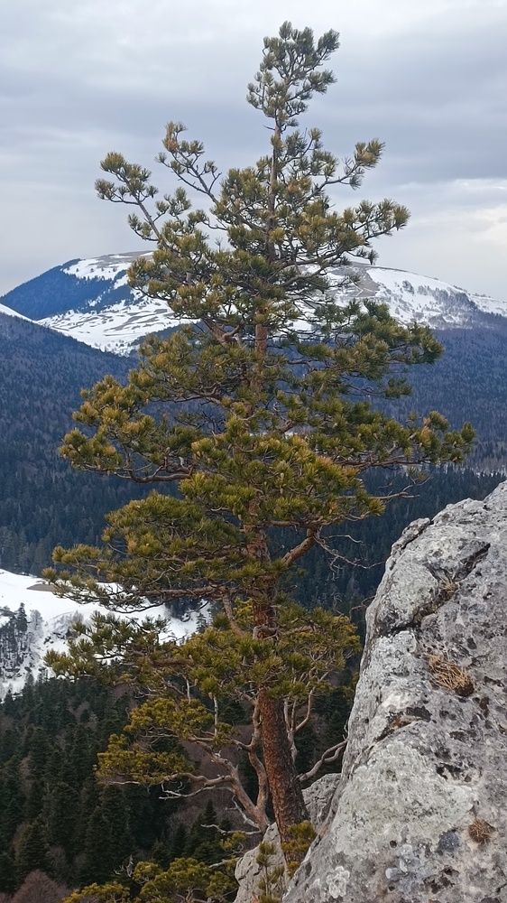 Photograph by Виталий Мартынов