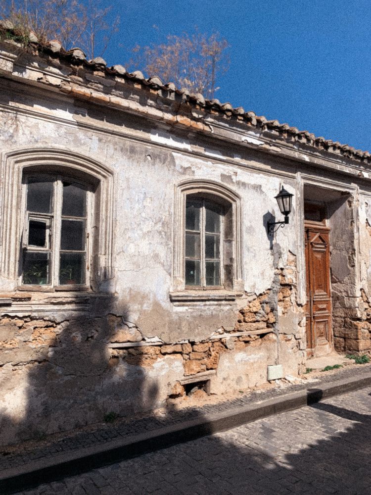 Photograph by Dina Chekhova