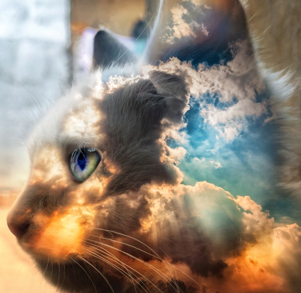 Фотография автора George Boules