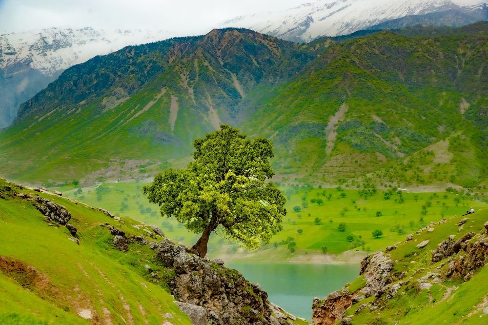 Фотография автора ehsan kaviani