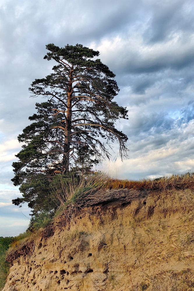 Photograph by Римма Бобрякова