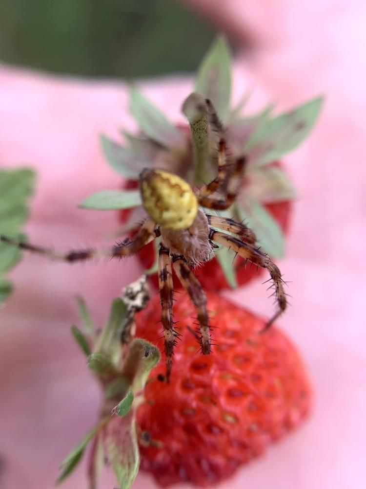 Photograph by Екатерина