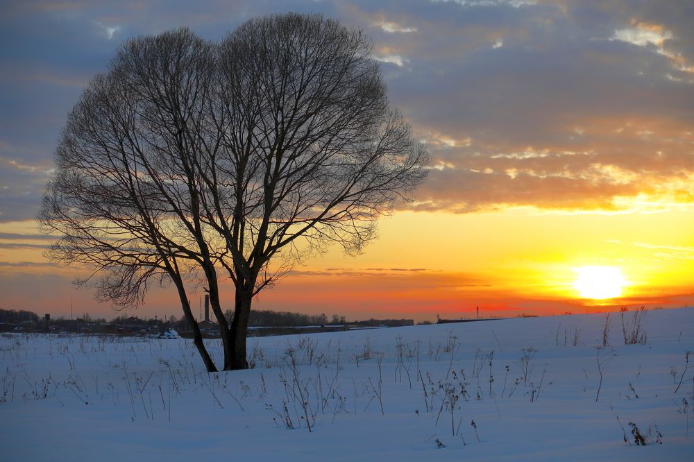 Photograph by Sergey Kudryashov