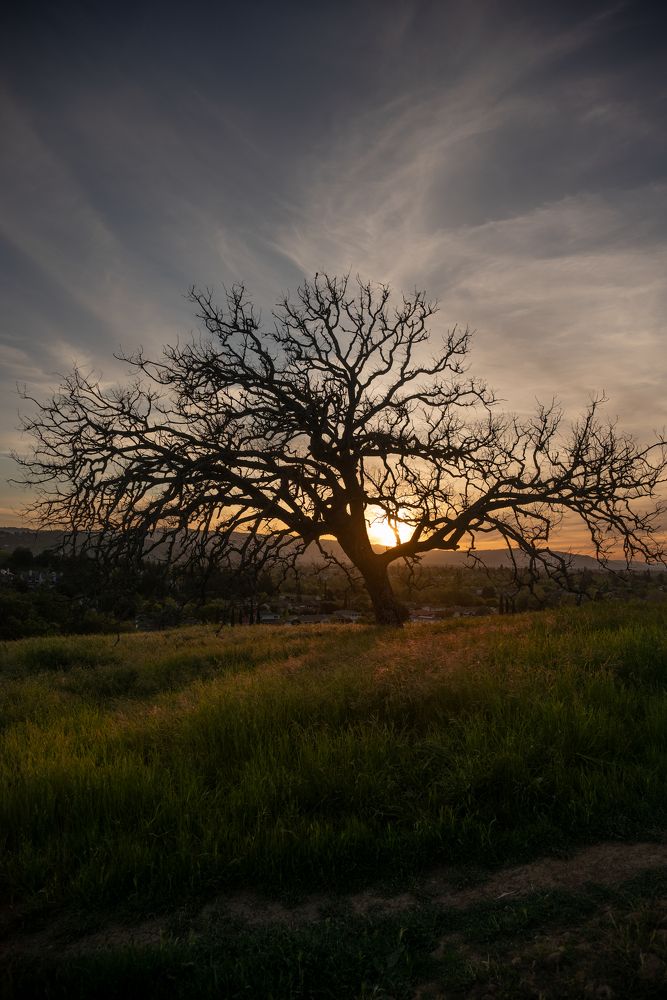 Photograph by Anna Vlasova