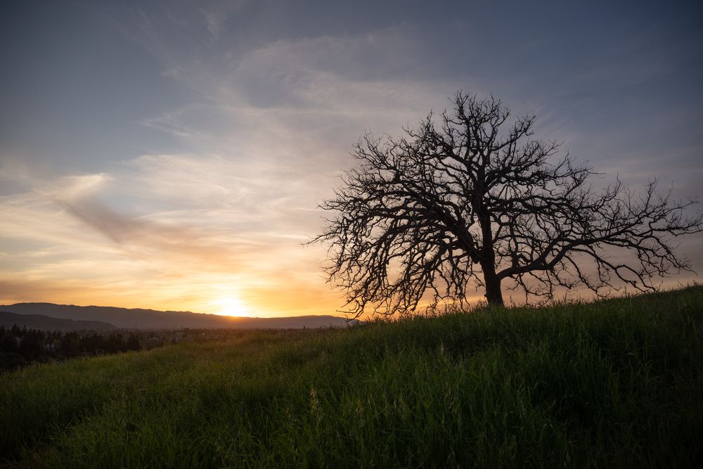 Photograph by Anna Vlasova