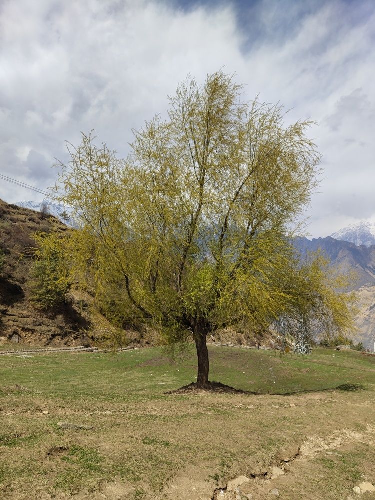 Photograph by Anil Yadav