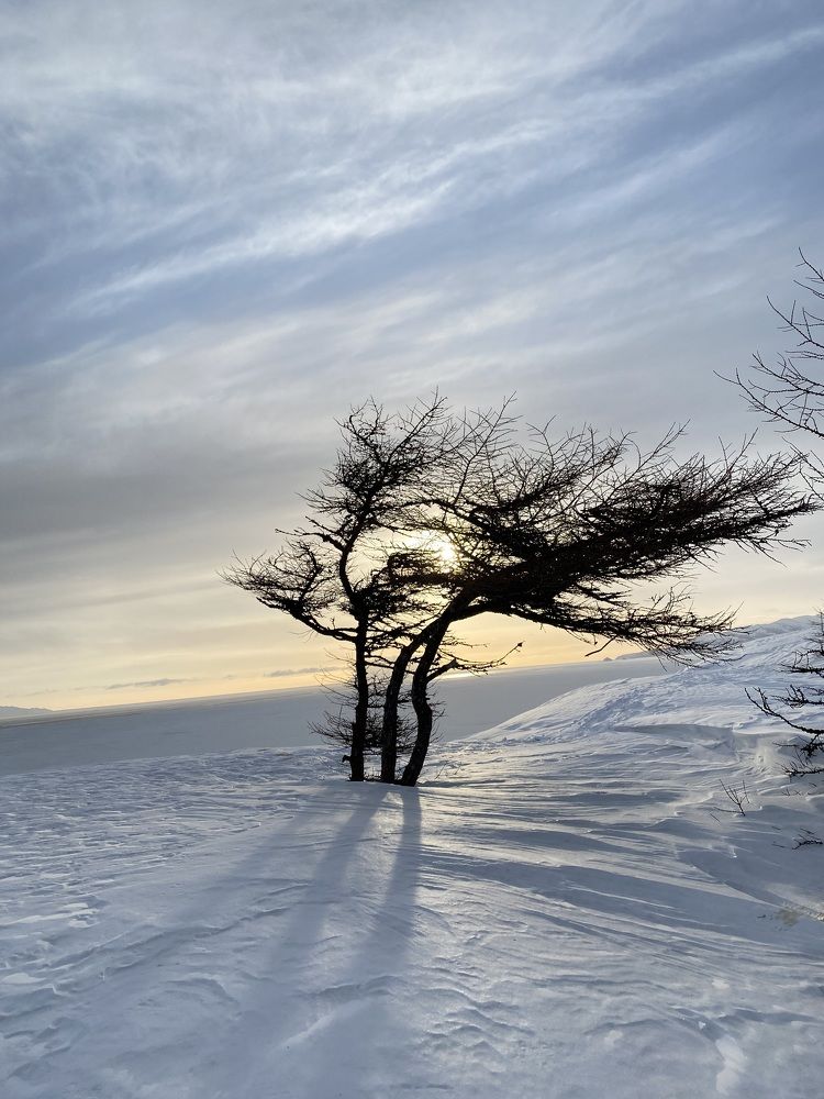 Фотография автора Наталья Вертугина