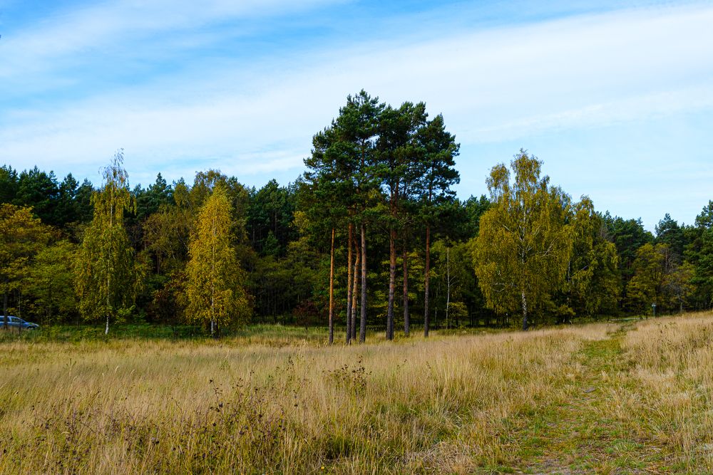 Photograph by Леонид Соболев