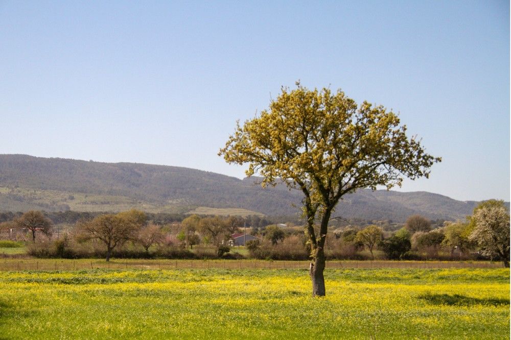 Photograph by Huseyin Mustafa Guvendag