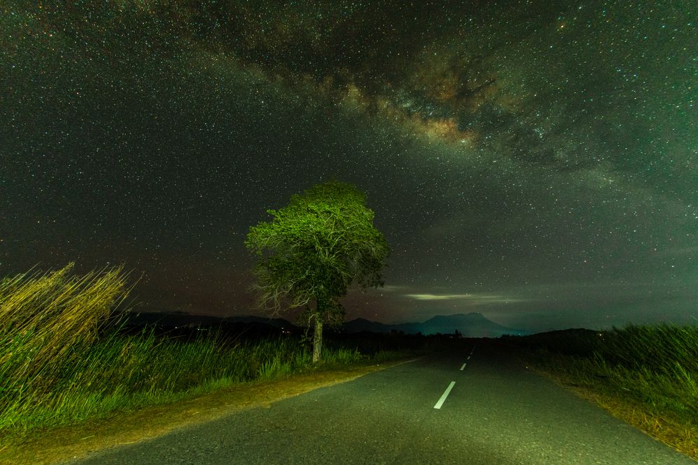 Photograph by Thai Siung Wong