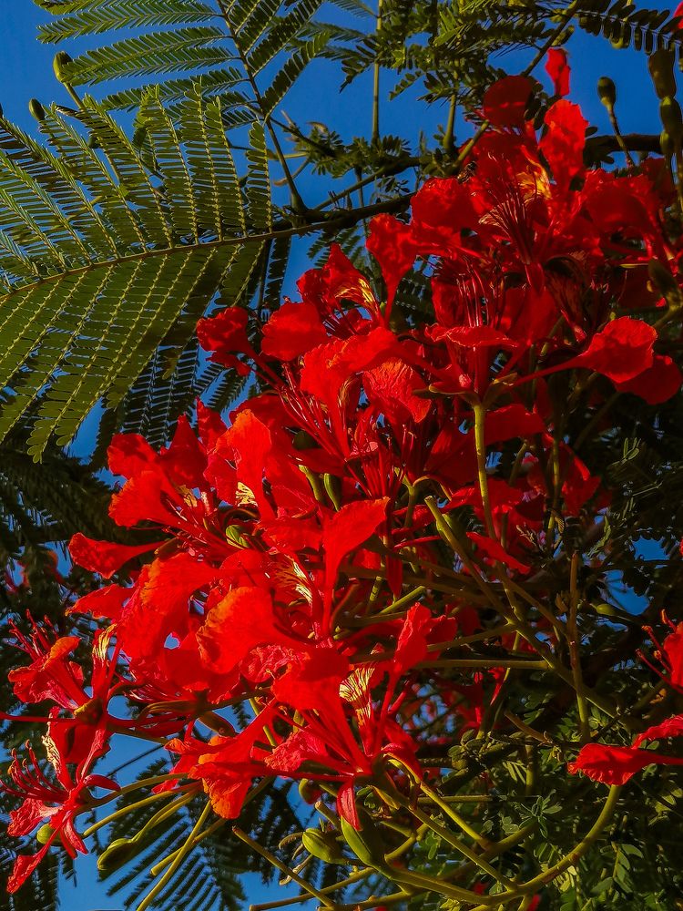 Photograph by Salmaan dada