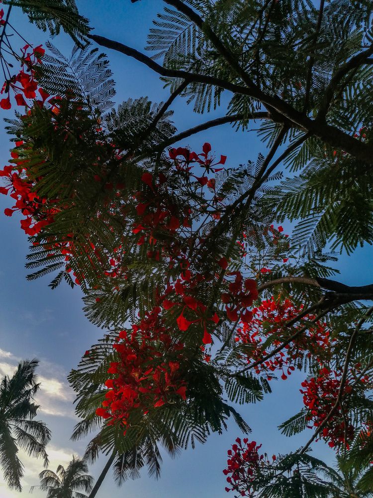 Photograph by Salmaan dada