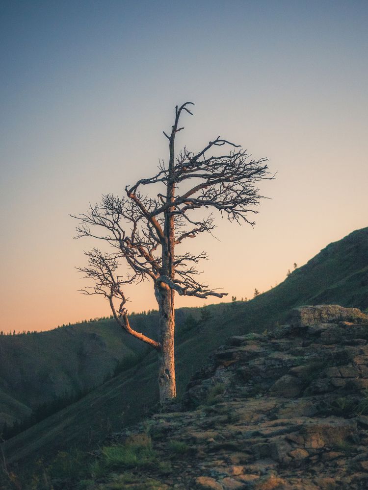Фотография автора Вячеслав Бобин
