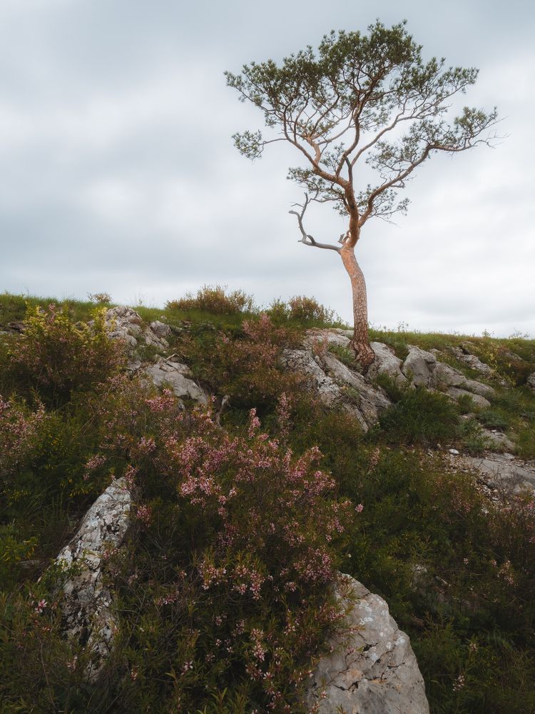 Фотография автора Вячеслав Бобин