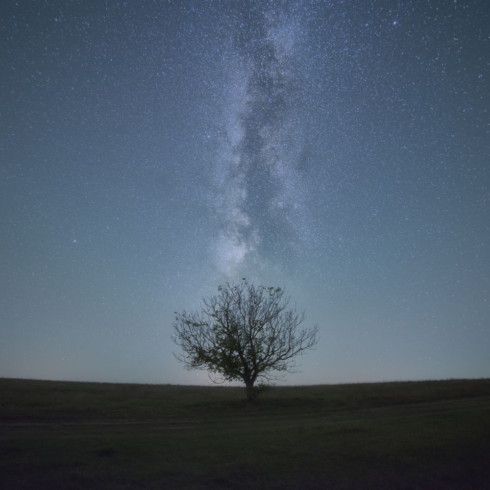 Фотография автора Lyuboslav Bochev