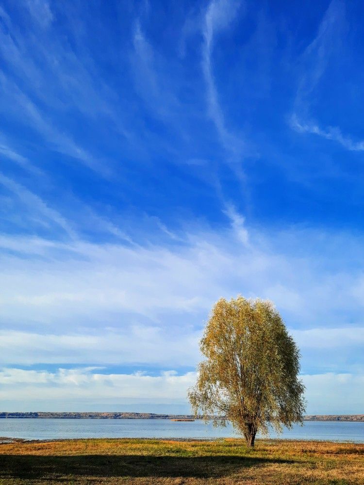 Photograph by Сергей Назаредский