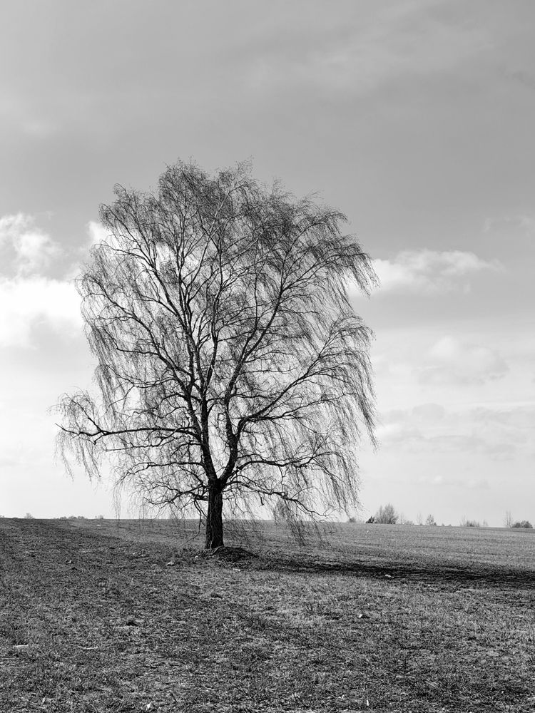 Photograph by Veranika Siratsinina