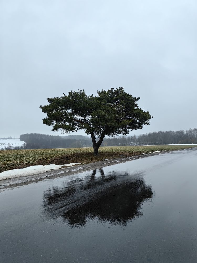 Photograph by Veranika Siratsinina
