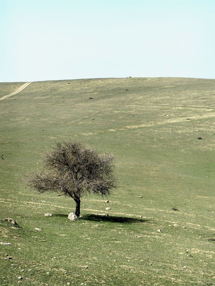 Photograph by Veranika Siratsinina